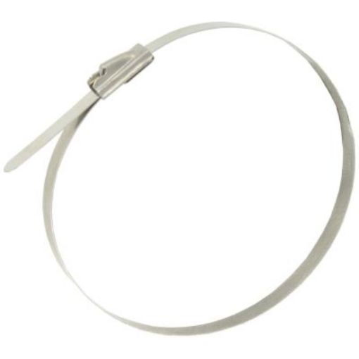 Picture of Deligo CTSS200 Cable Tie 4.6x200mm Stainless Steel