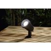 Picture of Forum CZ-31806-Black Wells Spike Light 6W