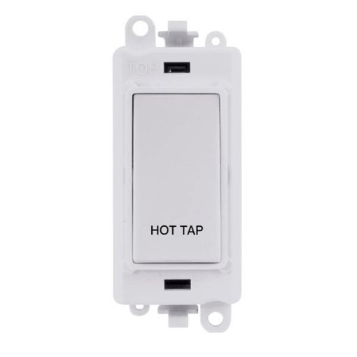 Picture of Click GM2018PW-HT Switched Module Double Pole 20AX