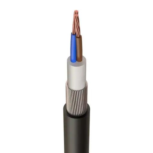 Picture of 4mm² 2 Core PVC SWA XLPE Armoured Cable | Cut Length Priced per Metre